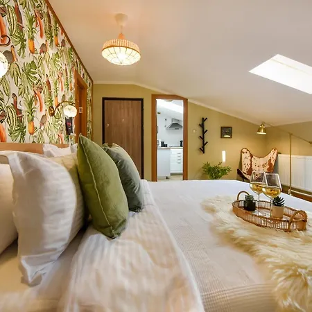 Apartment Plants Attic Studio - Location - Old Town *